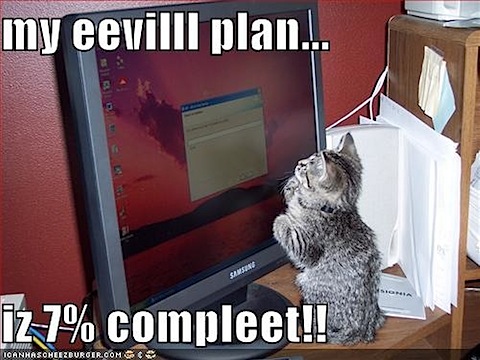funny-pictures-kitten-monitor-evil-plan.jpg