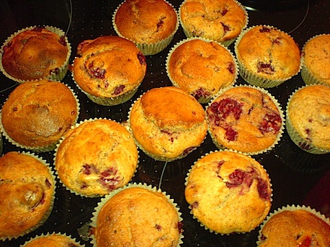 muffins.jpg